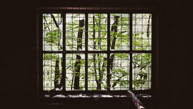 Inside The Japanese Teahouse