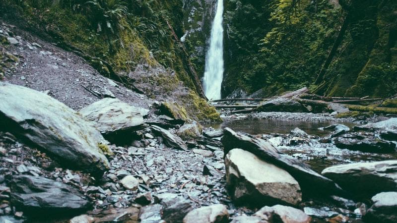 Summer Solstice Sound Journey and Gong Wash
